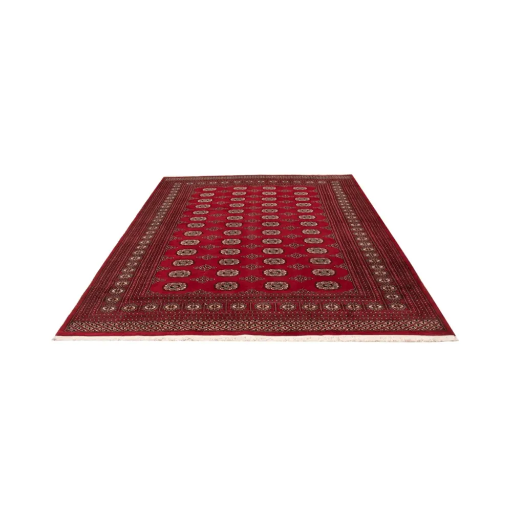 Afghan Teppich - Buchara - 290 x 200 cm - rot