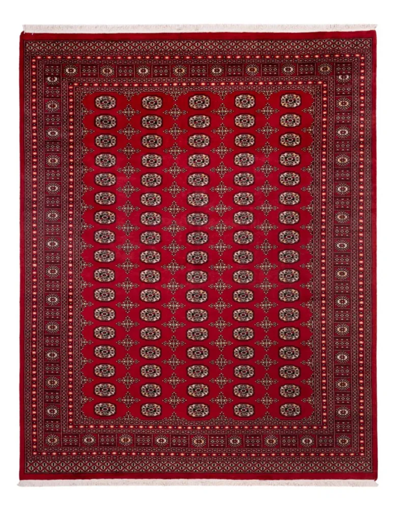 Afghan Teppich - Buchara - 308 x 243 cm - rot
