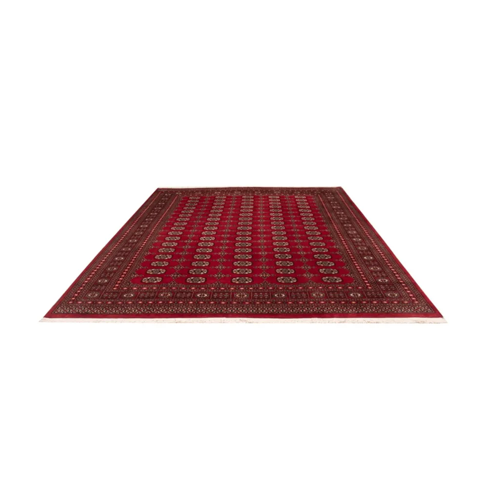 Afghan Teppich - Buchara - 308 x 243 cm - rot