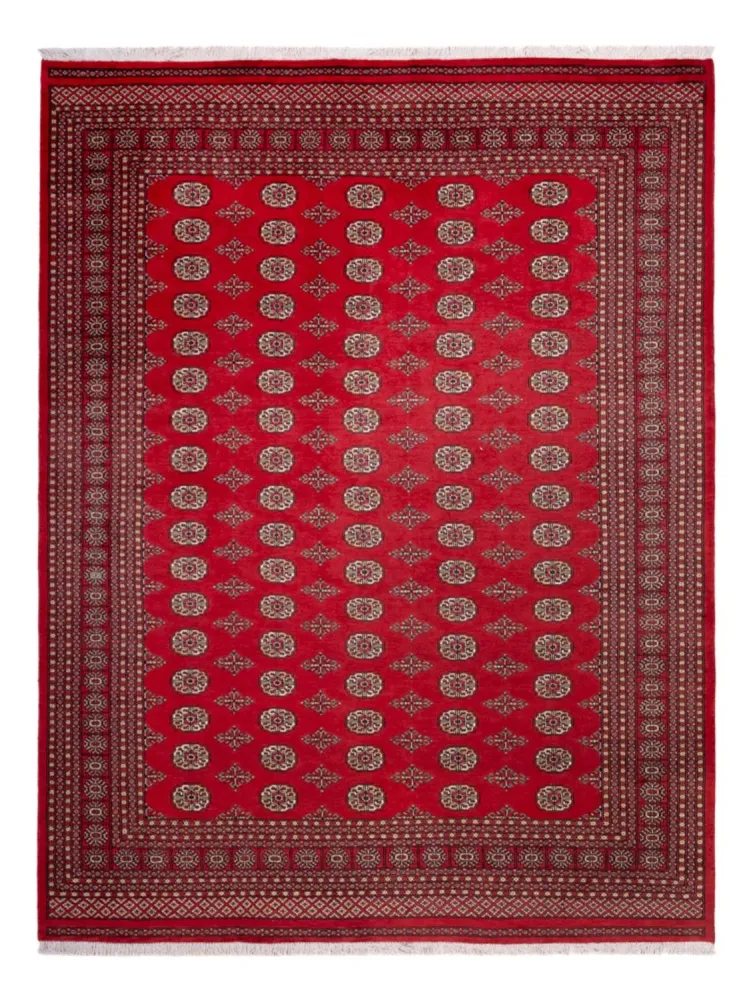 Afghan Teppich - Buchara - 321 x 247 cm - rot