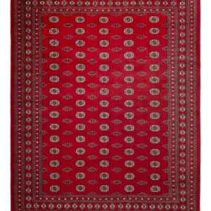 Afghan Teppich - Buchara - 323 x 248 cm - rot