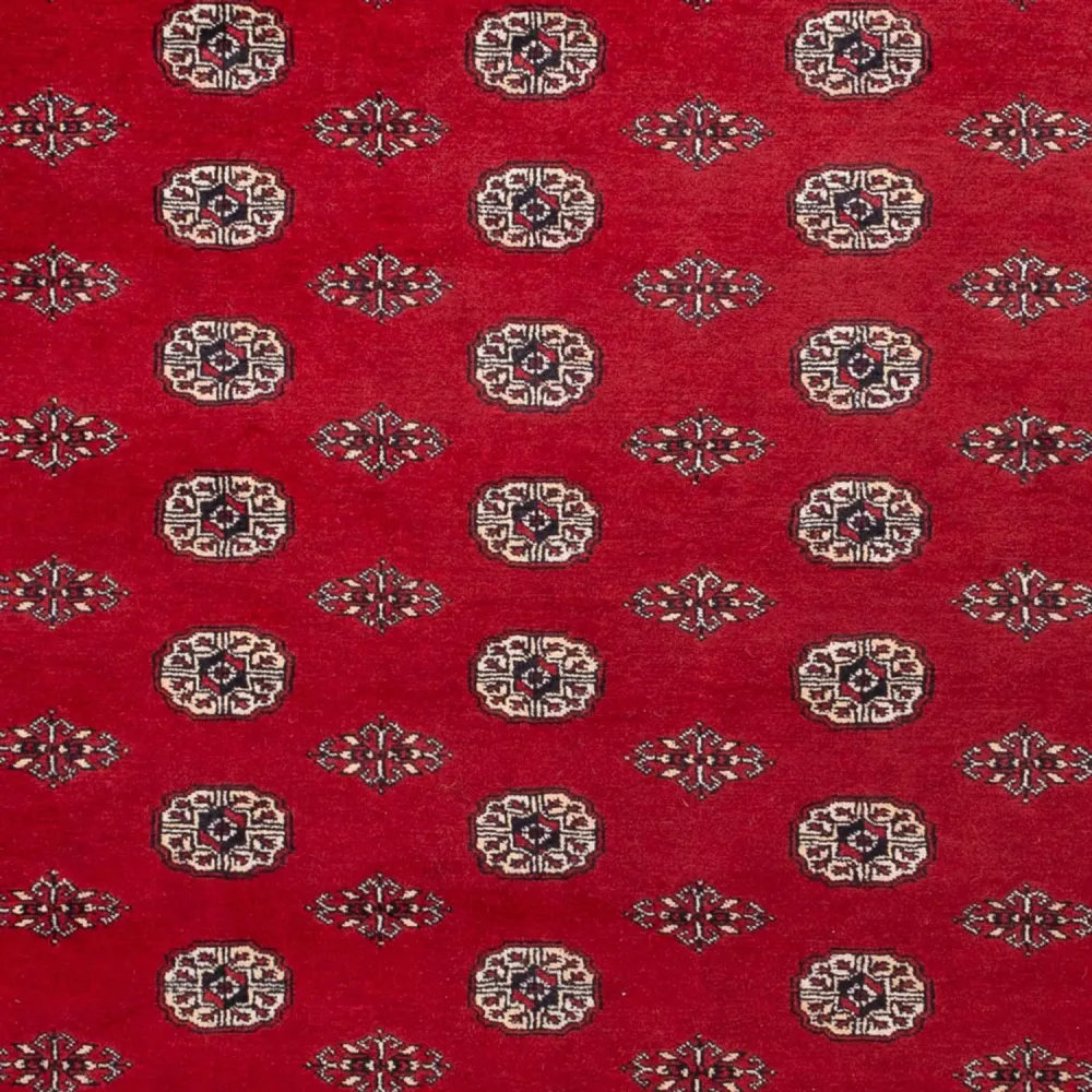 Afghan Teppich - Buchara - 323 x 248 cm - rot