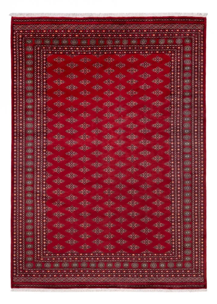 Afghan Teppich - Buchara - 350 x 253 cm - rot