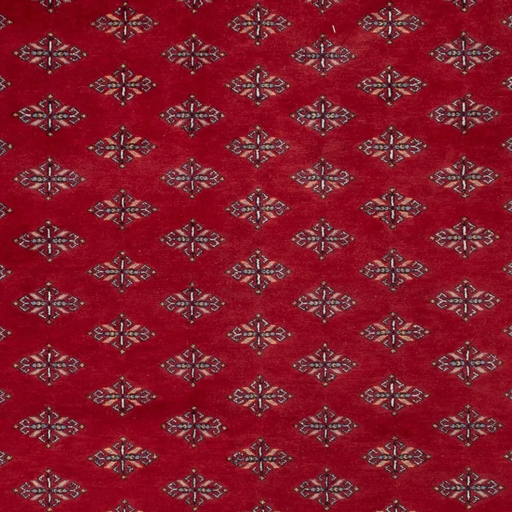 Afghan Teppich - Buchara - 350 x 253 cm - rot