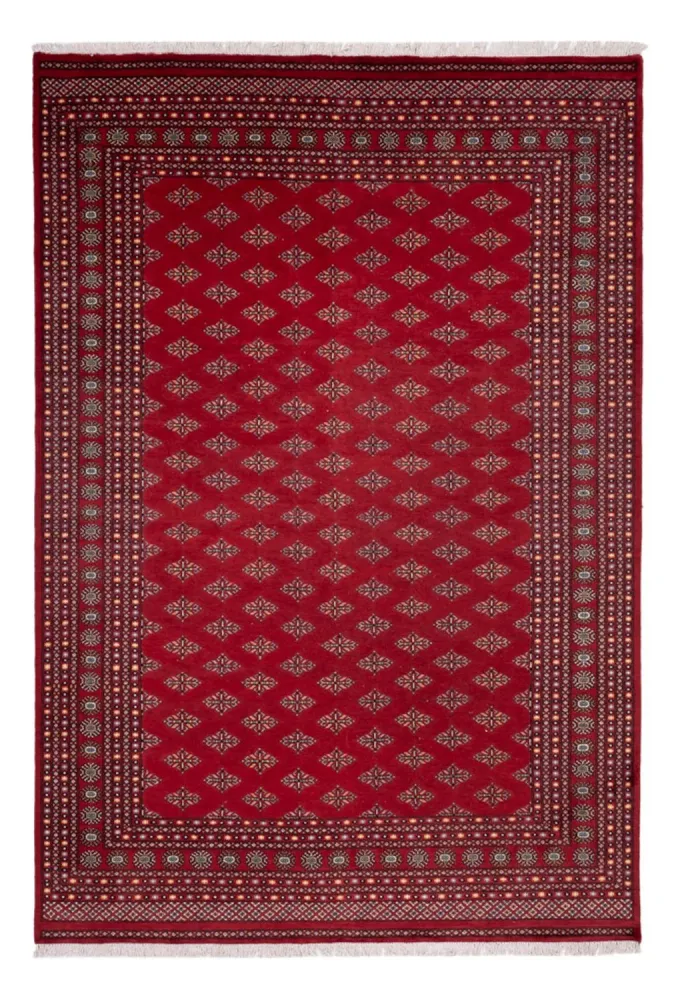 Afghan Teppich - Buchara - 365 x 249 cm - rot