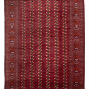 Afghan Teppich - Buchara - 505 x 308 cm - rot