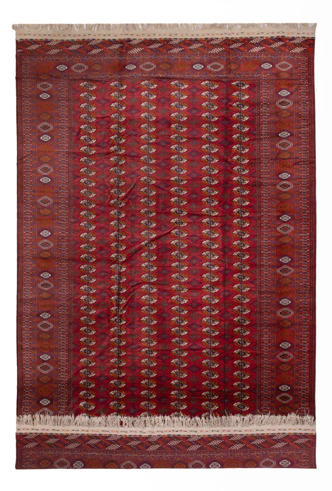 Afghan Teppich - Buchara - 505 x 308 cm - rot