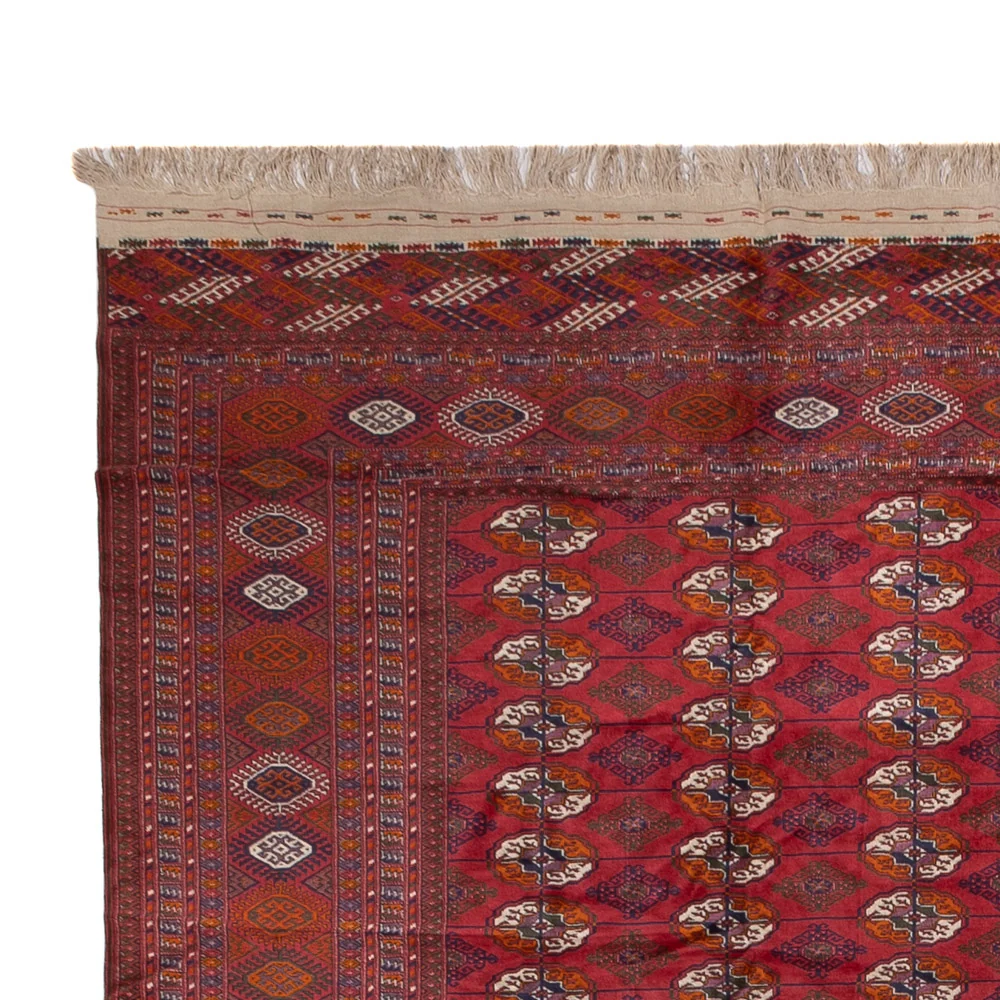 Afghan Teppich - Buchara - 505 x 308 cm - rot