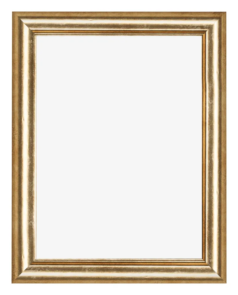 Bilderrahmen 18x24 cm - Gold Antik - MDF - Lazio