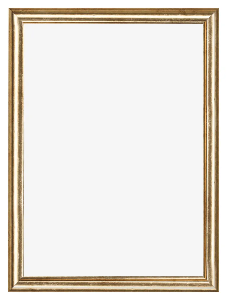 Bilderrahmen 20x28 cm - Gold Antik - MDF - Lazio
