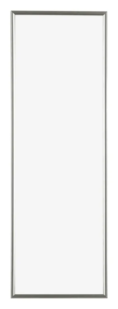 Bilderrahmen 20x60 cm - Champagner - Kunststoff - Evry
