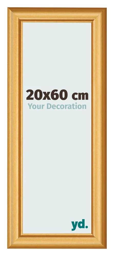 Bilderrahmen 20x60 cm - Gold Matt - MDF - Lazio