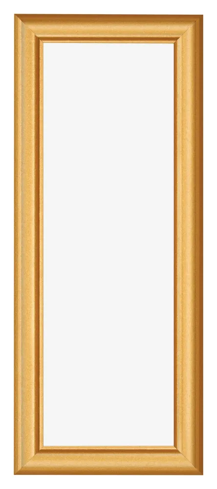 Bilderrahmen 20x60 cm - Gold Matt - MDF - Lazio