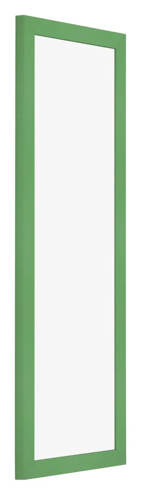 Bilderrahmen 20x60 cm - Grün - MDF - Bologna