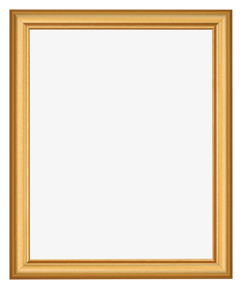 Bilderrahmen 24x30 cm - Gold Matt - MDF - Lazio