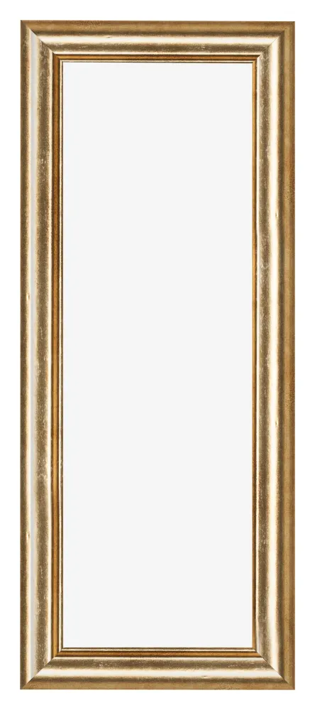 Bilderrahmen 25x75 cm - Gold Antik - MDF - Lazio