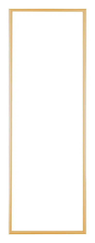 Bilderrahmen 25x75 cm - Gold Vintage - Aluminium - Kent