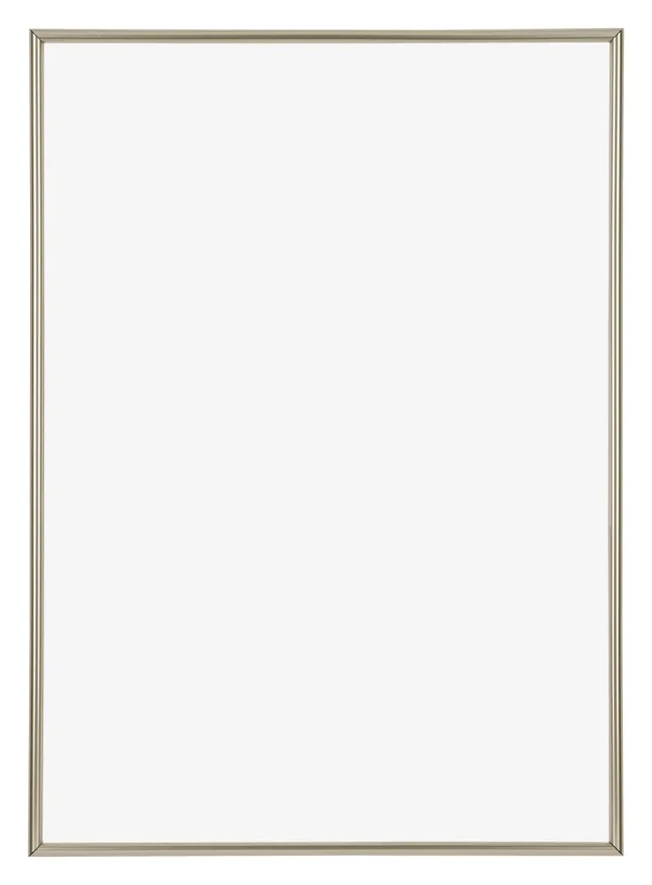 Bilderrahmen A3 - 29,7x42 cm - Champagner - Kunststoff - Annecy