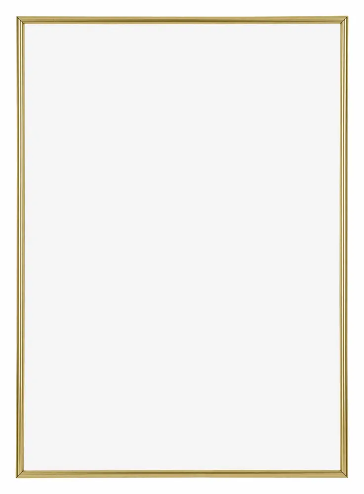 Bilderrahmen 30x42 cm - Gold - Kunststoff - Annecy
