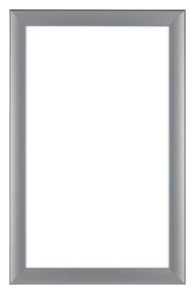 Bilderrahmen 30x50 cm - Silber Matt - MDF - Como