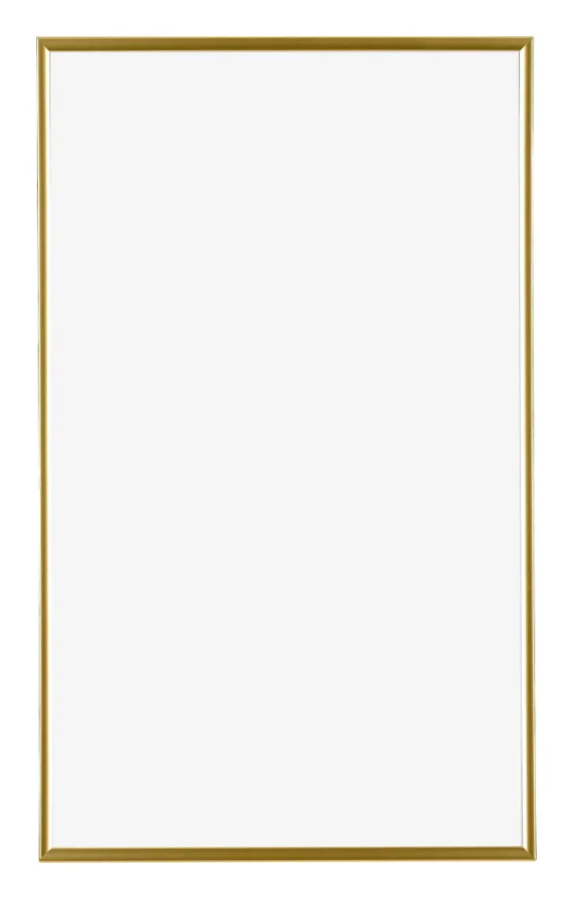 Bilderrahmen 33x48 cm - Gold - Kunststoff - Evry