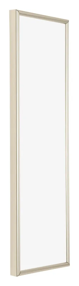 Bilderrahmen 33x98 cm - Champagner - Kunststoff - Annecy