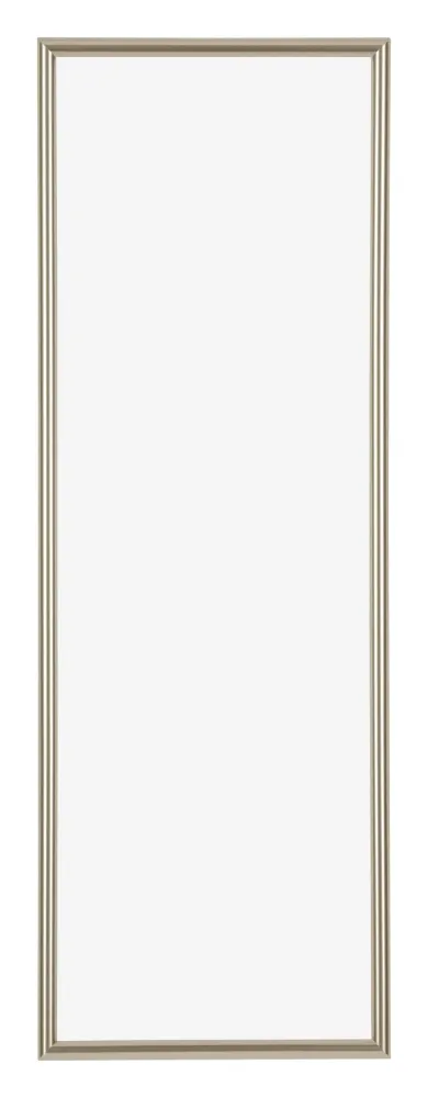Bilderrahmen 33x98 cm - Champagner - Kunststoff - Annecy