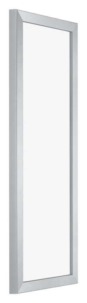 Bilderrahmen 33x98 cm - Silberglanz - MDF - Catania