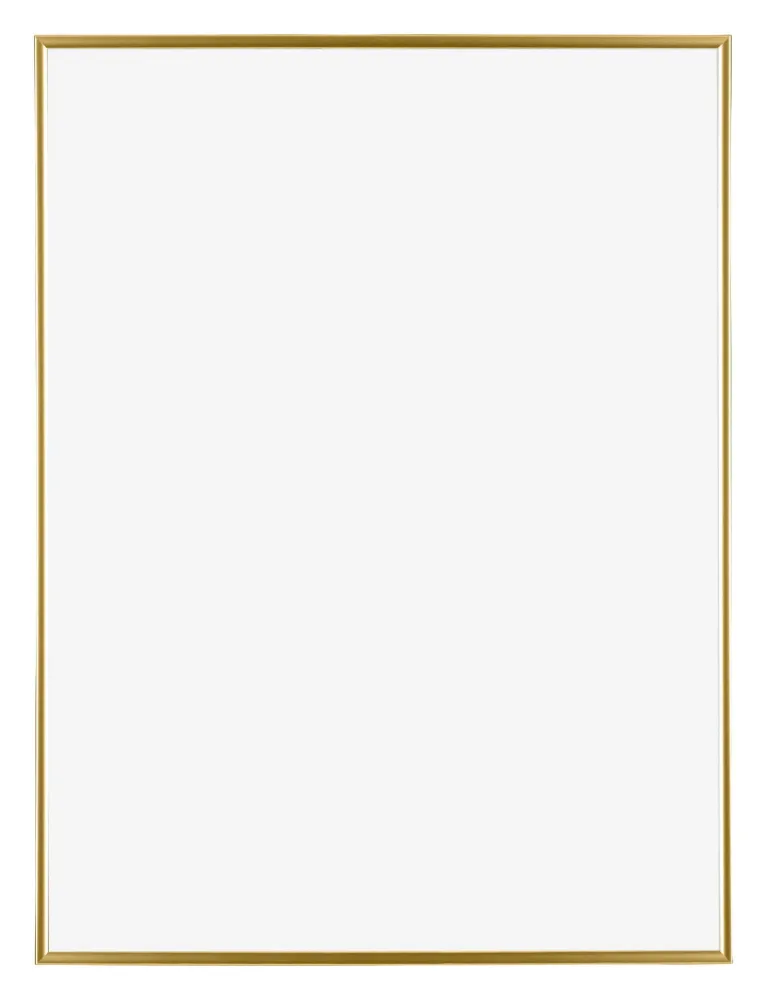 Bilderrahmen 36x48 cm - Gold - Kunststoff - Evry