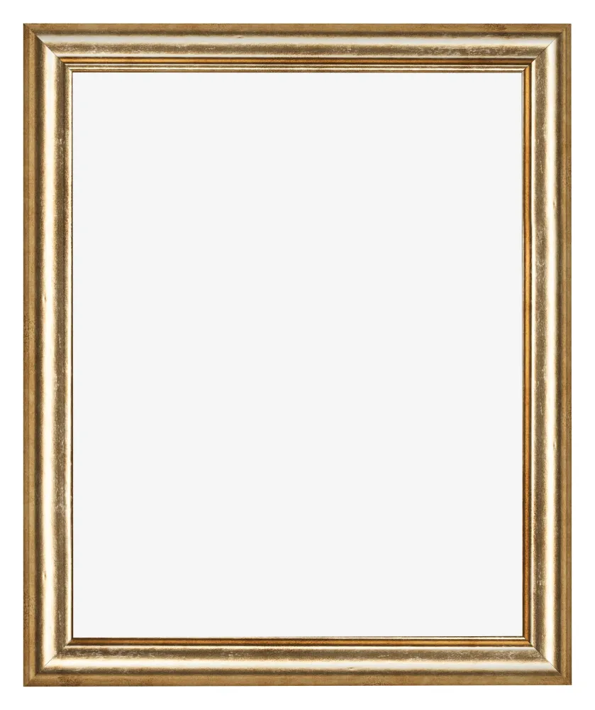 Bilderrahmen 40x55 cm - Gold Antik - MDF - Lazio
