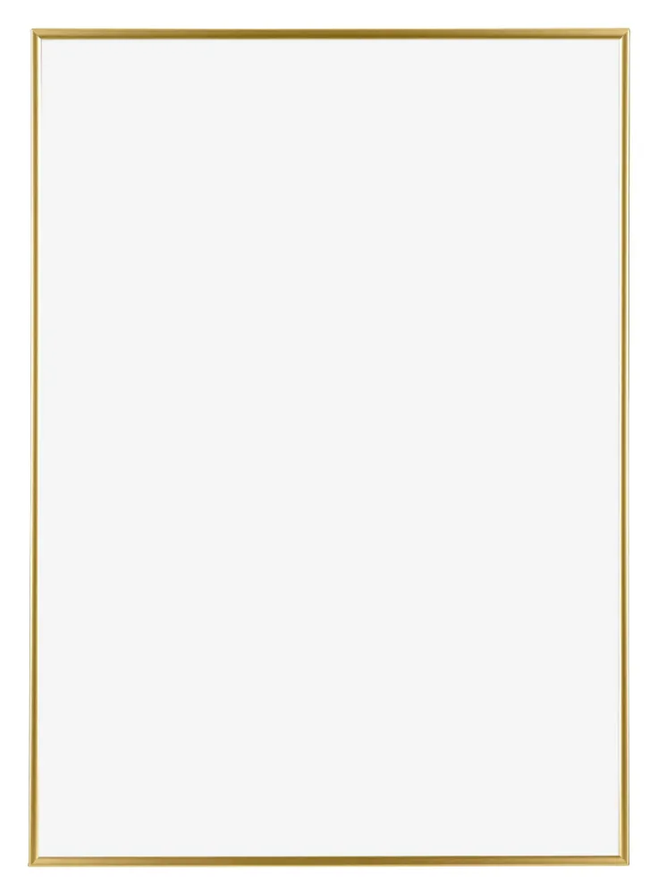 Bilderrahmen 42x60 cm - Gold - Kunststoff - Evry