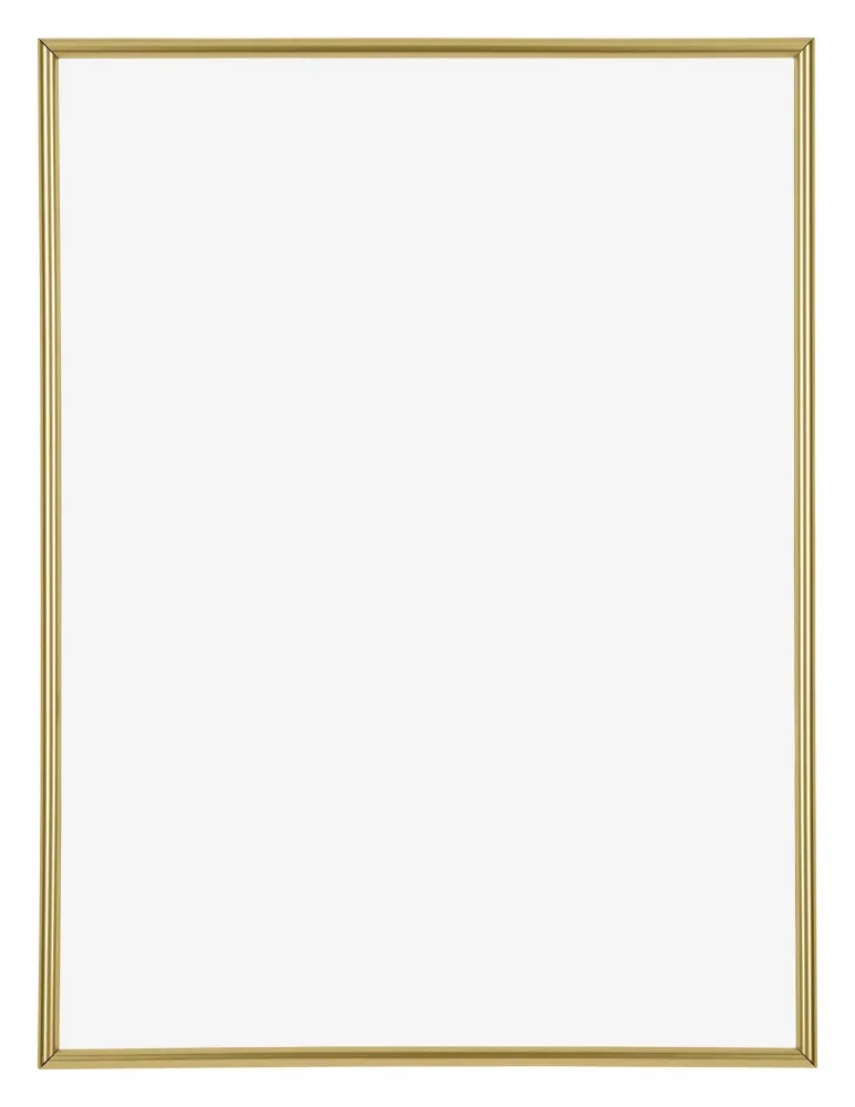 Bilderrahmen 48x64 cm - Gold - Kunststoff - Annecy