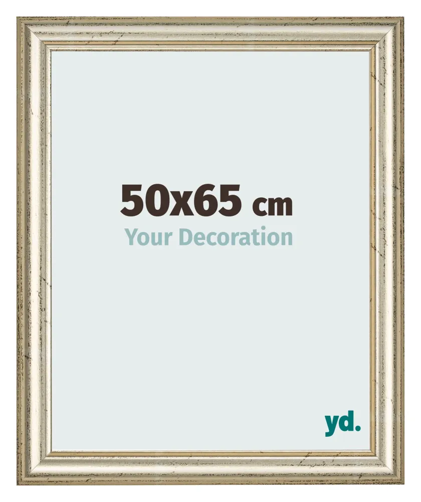 Bilderrahmen 50x65 cm - Metallglanz - MDF - Lazio