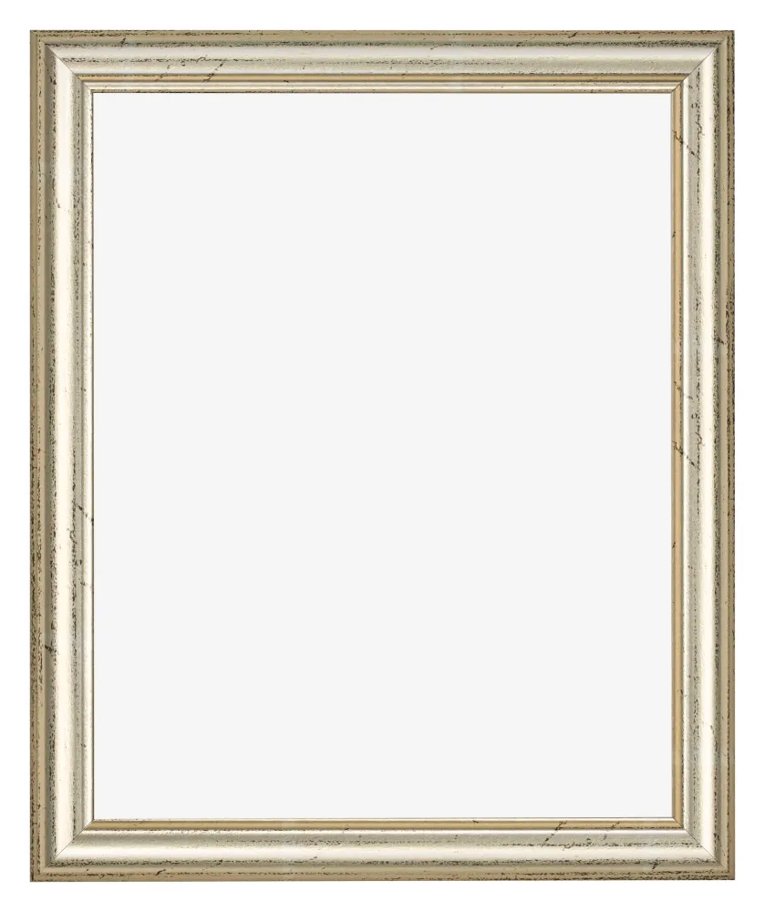 Bilderrahmen 50x65 cm - Metallglanz - MDF - Lazio