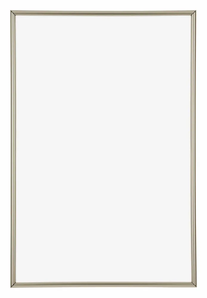 Bilderrahmen 50x75 cm - Champagner - Kunststoff - Annecy
