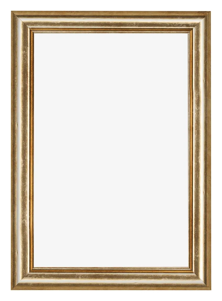 Bilderrahmen 50x75 cm - Gold Antik - MDF - Lazio
