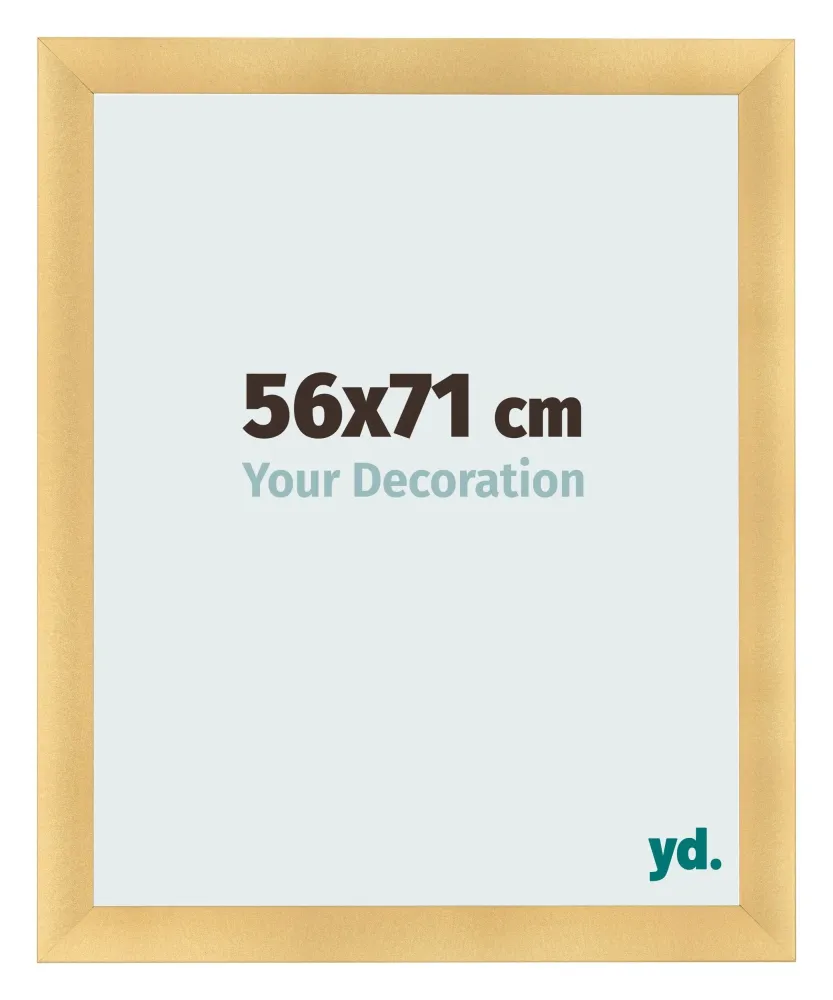Bilderrahmen 56x71 cm - Gold Matt - MDF - Pisa