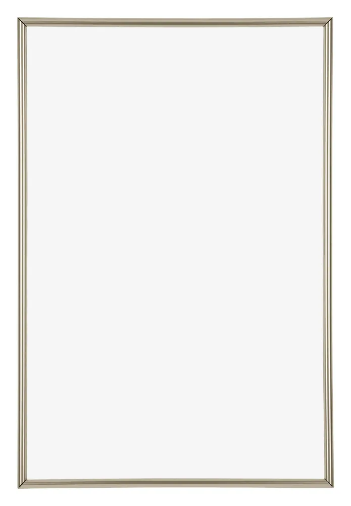 Bilderrahmen 61x91,5 cm - Champagner - Kunststoff - Annecy