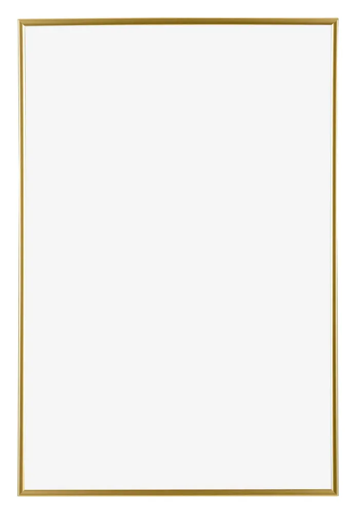 Bilderrahmen 61x91,5 cm - Gold - Kunststoff - Evry