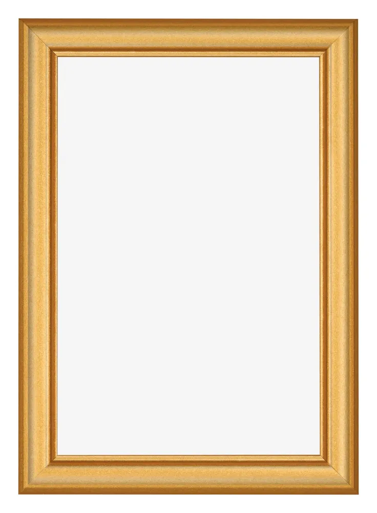 Bilderrahmen 61x91,5 cm - Gold Matt - MDF - Lazio