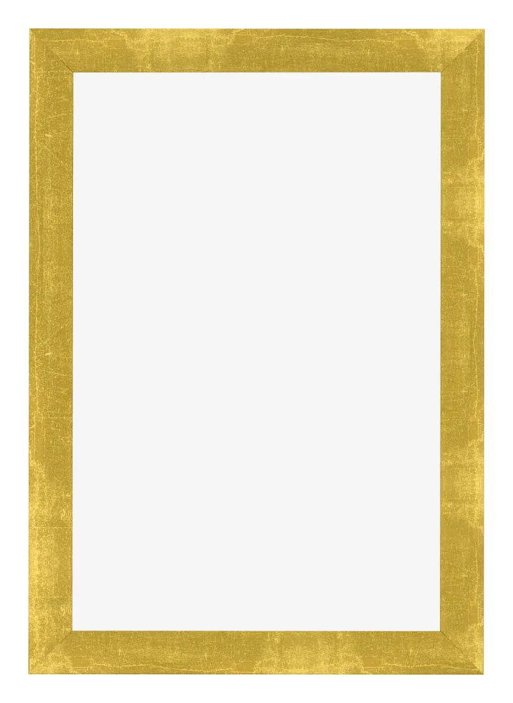 Bilderrahmen 61x91,5 cm - Gold Vintage - MDF - Pisa
