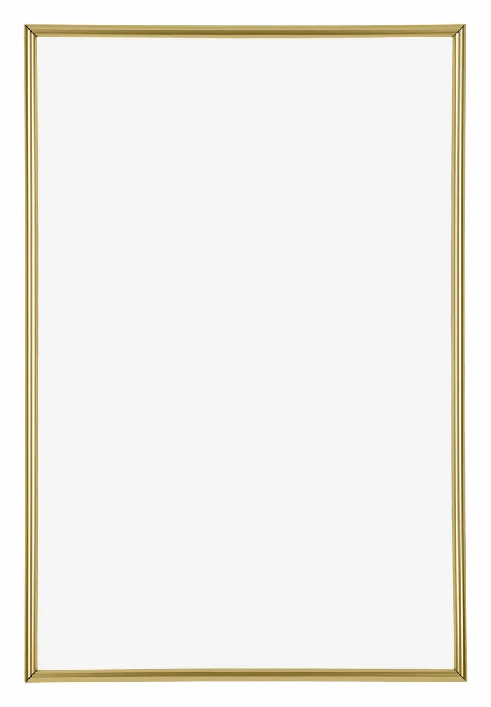 Bilderrahmen 62x93 cm - Gold - Kunststoff - Annecy
