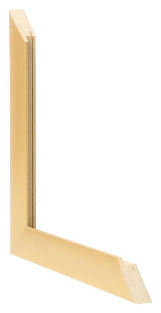 Bilderrahmen 68x98 cm - Gold Matt - MDF - Pisa