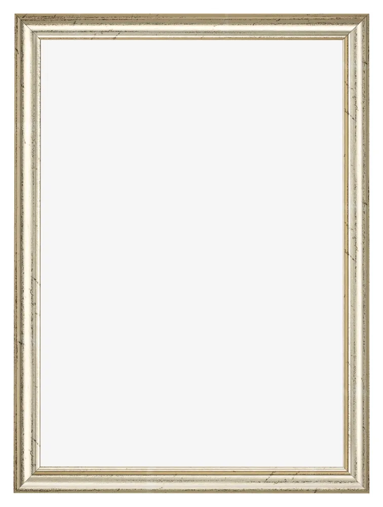 Bilderrahmen 68x98 cm - Metallglanz - MDF - Lazio