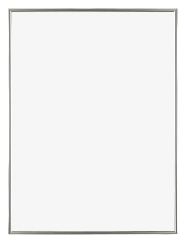 Bilderrahmen 75x100 cm - Champagner - Kunststoff - Evry