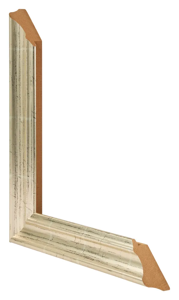 Bilderrahmen 75x98 cm - Metallglanz - MDF - Lazio