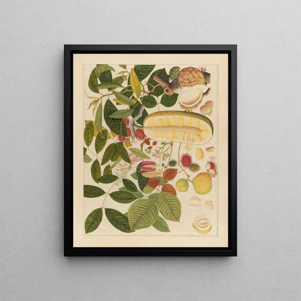Chinesisches Obst-Aquarell-Album Gemälde Pl01 - Anonym | Kunstdruck