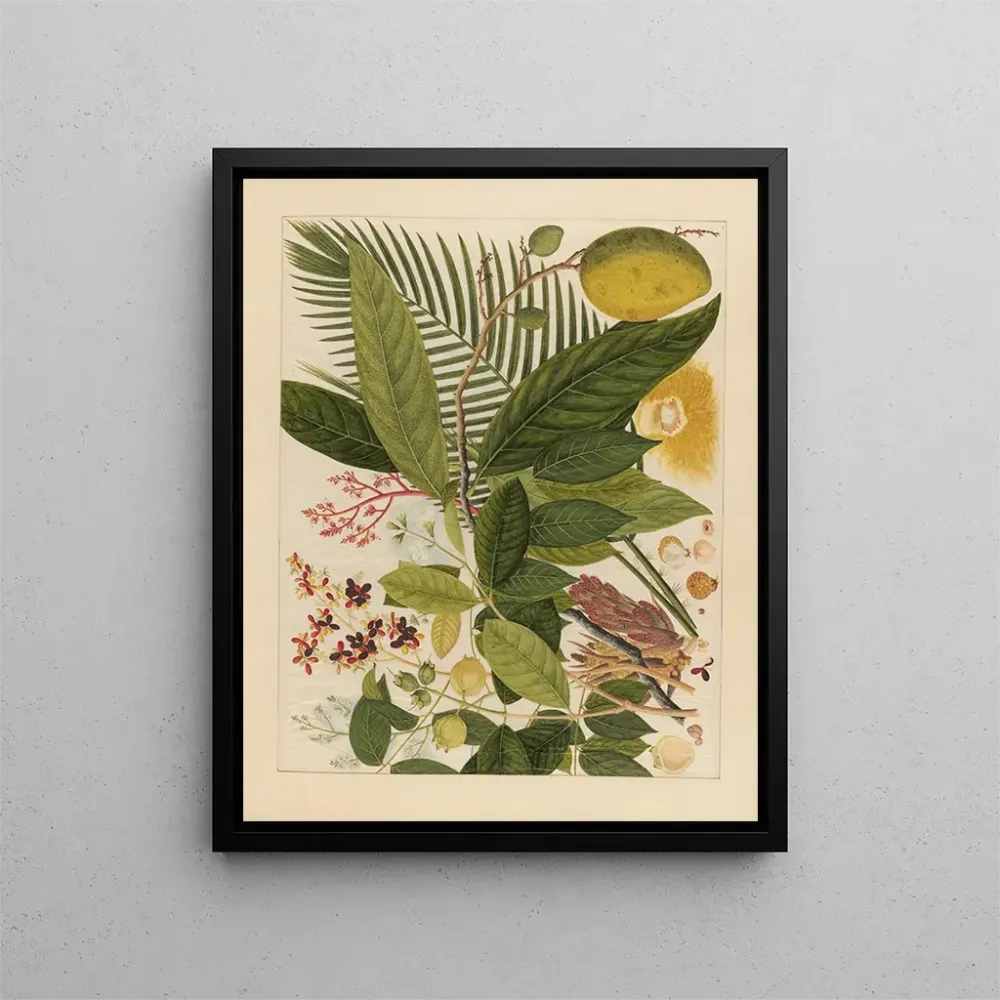 Chinesisches Obst-Aquarell-Album Gemälde Pl04 - Anonym | Kunstdruck
