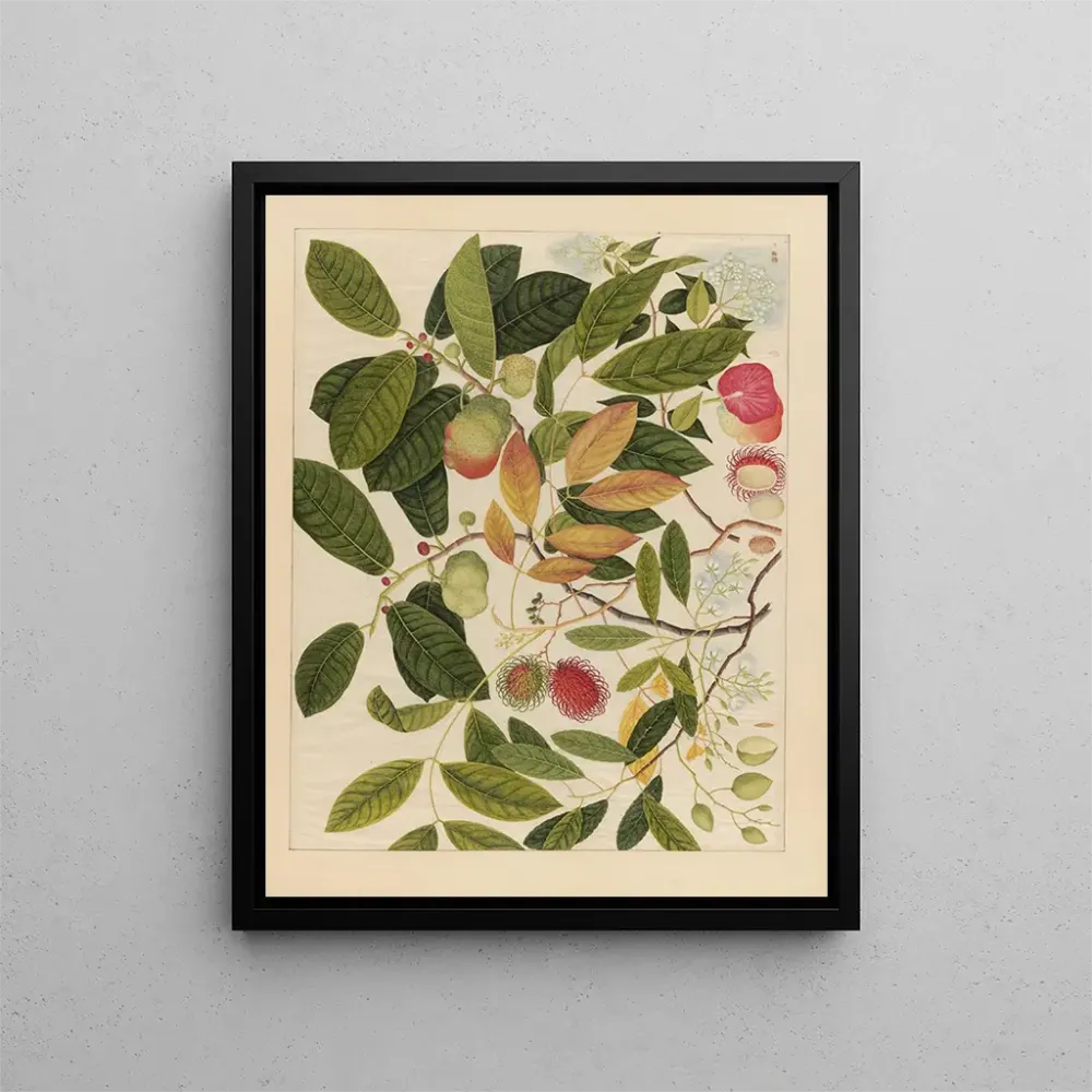 Chinesisches Obst-Aquarell-Album Gemälde Pl06 - Anonym | Kunstdruck