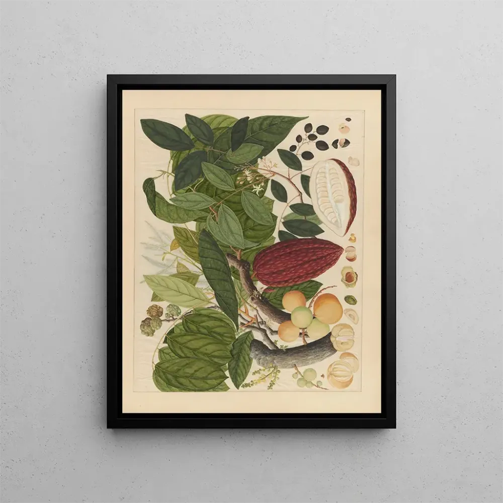 Chinesisches Obst-Aquarell-Album Gemälde Pl07 - Anonym | Kunstdruck
